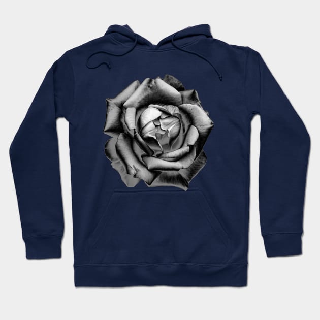 Charcoal Rose Drawing Hoodie by nautilusmisc